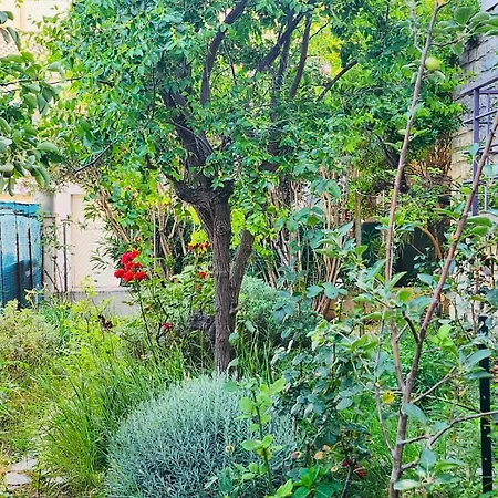 Apartment Paisible Pour 4 Personnes Montpellier